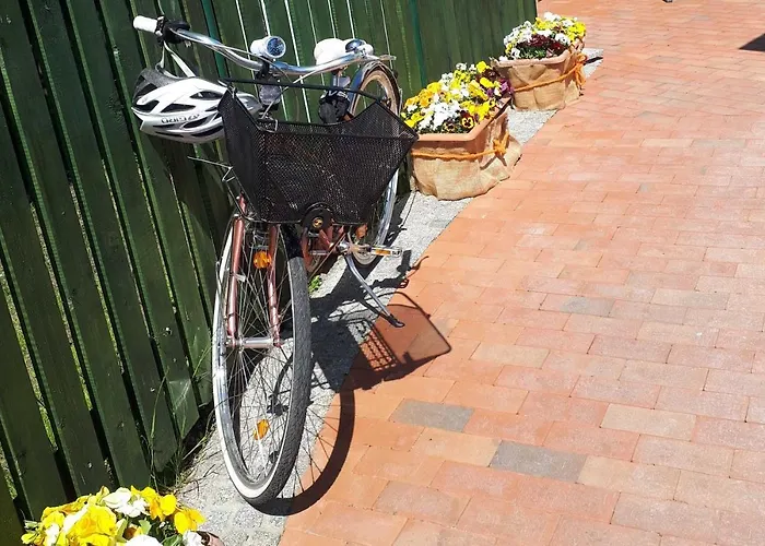 Marina Apartament Lauta